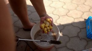 Как быстро почистить молодую картошку,мелкую крупную без разницы.