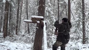 Охота на Соболя и Куницу капканами. Сезон 22-23г Второй путик, удачно.