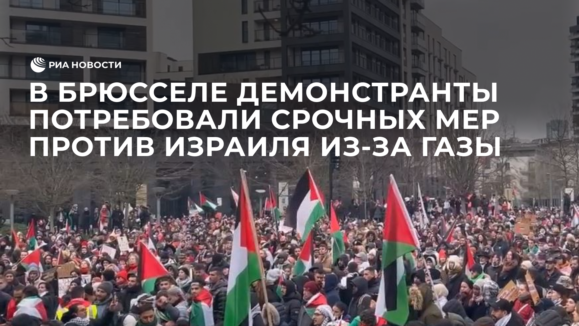 Митинг в Брюсселе