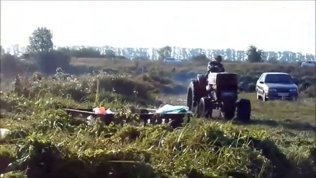 Рыбалка в Пензе-в сентябре на пруду-Ловля карася и карпа-раки на удочку смотреть онлайн