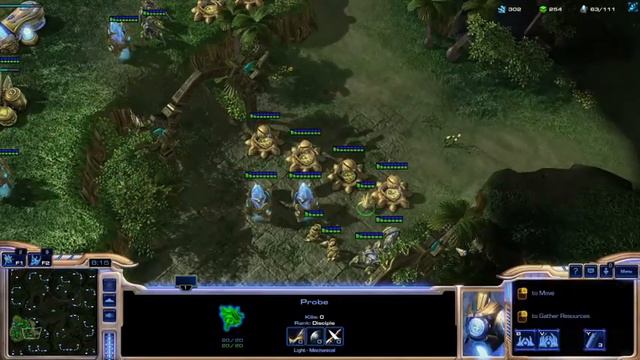StarCraft2 beginners guide for Protoss