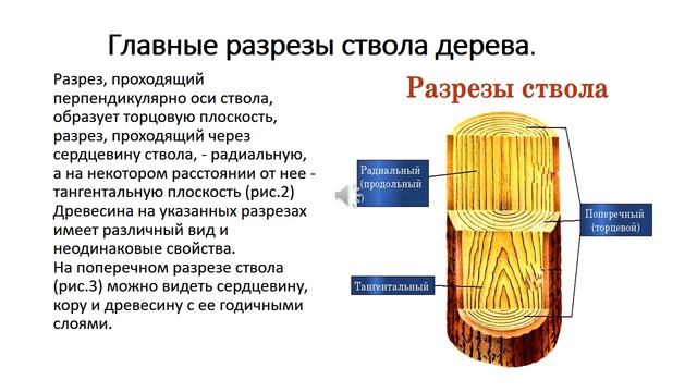 Деревообрабатывающая мастерская/Советы специалистов/Древесина в деревообработке