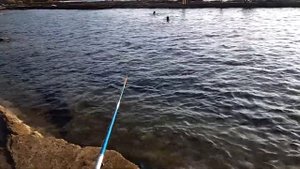 Турция рыбалка с берега. Как поймать кефаль в Средиземном море