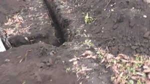 Цена фундамент собственного дома стоимость Покупка участка. Постройка фундамента. Проект дома