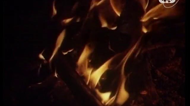 Археология. В поисках неандертальцев / The Search for Neanderthal.