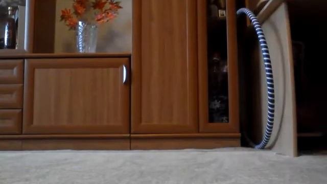 Гимнастические упражнения ||