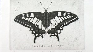 Демонстрация рельефа оттиска с офорта "Махаон"