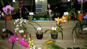 39ª Exposição Nacional de Orquídeas de Uberaba