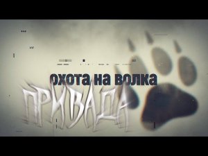 Охота на волка c ПУЛЬСАР ГУРУ, фильм первый.