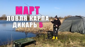 Карпфишинг 2024. Как ловить карпа ранней весной.  Как ловить в марте по холодной воде