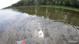 Река Ока. Открытие 2024