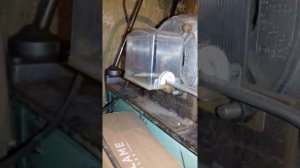 наждак из двигателя от стиральной машинки.