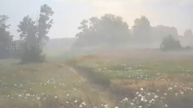 НЕВОЛЬНО К ЭТИМ ГРУСТНЫМ БЕРЕГАМ Пушкин Русалка смотреть онлайн