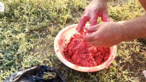 Рыбалка в Кыргызстане - Рыбалка в Кыргызстане 2021, семейный отдых.