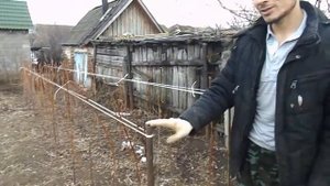 Подвязка, чистка малины/весна/огород#малина#обрезкамалины#позвязкамалины#весна
