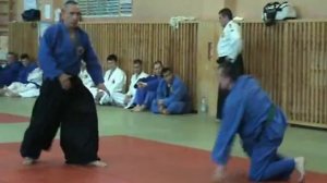 Real Aikido 2010 Seminar