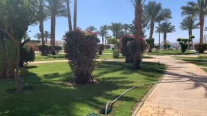 Отель Пирамиза | Египет | Номер, пляж и бассейн с горками, обзор | Pyramisa Beach Resort Sahl
