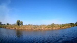 Рыбалка в Сентябре на  Маховое удилище  5 метров  с глухой оснасткой.