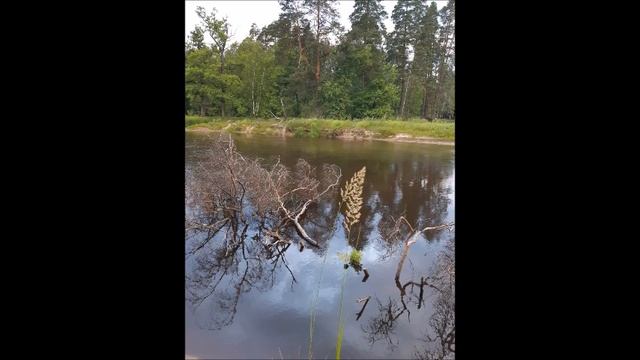 Тайна булавки ППИ-1. смотреть онлайн