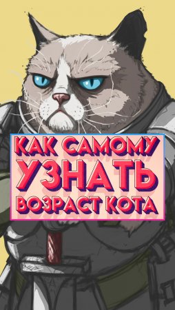 Как узнать ВОЗРАСТ кошки!😂 #shorts #кошки #факты