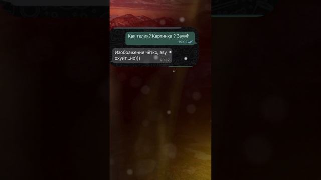 Айрат Галиуллин - переплачивать просто глупо смотреть онлайн