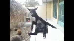 Мой гора любимый родина Кавказ 1 час