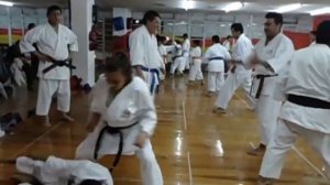 ROMO SHOTOKAN KARATE WORKSHOP 6-4-2013. PT 6