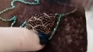 Начало работы при создании брошей из бисера