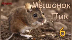 Мышонок Пик. Ч. 6. Конец путешествия. В. Бианки. Аудио рассказ. Литературное чтение.