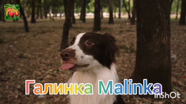 Ольга Уралочка live /Святая в окружении грешников /Обзор Влогов /Уралочка и Сафар /Мукбанг