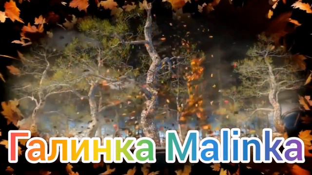 Ольга Уралочка live /Разборки /Делят место /Обзор Влогов /Уралочка и Сафар /
