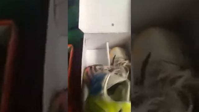 Обзор на бутсы Nike Mercurial. смотреть онлайн