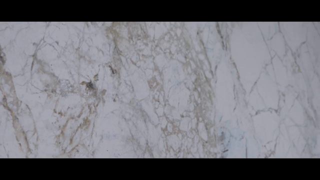 SUPREME 4D COLLECTION смотреть онлайн