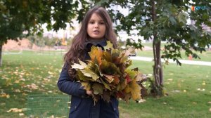 Елена Яхницкая "Люблю Москву" читает Александра Ножова