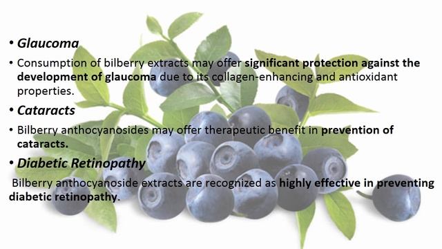 Bilberry   ( Vaccinium myrtillus ) смотреть онлайн