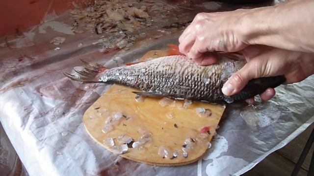 Лайфхак. Как быстро почистить Язей от чешуи. Без ножа, только руками)))