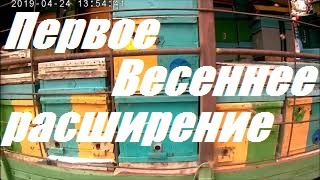 Двухматочное содержание пчела семей.Первое весеннее расширение пчёл.Готовим пчел на белую акацию.