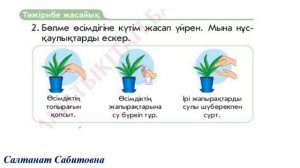 1 сынып жаратылыстану 5 сабақ