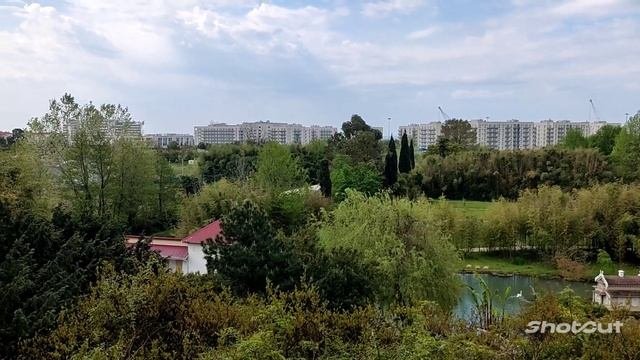 Адлер в апреле. Парк Южные культуры #весна #адлер #природа #черноеморе #отдых #лайктайм
