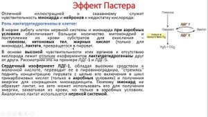 Биохимия. Лекция 49. Углеводы. Гликолиз. Челночные системы. Обезвреживание этанола.