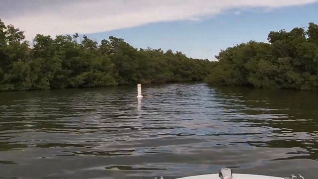 Bachelor Party weekend in the keys смотреть онлайн