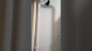 Промывка вторичного теплообменника газового котла navien deluxe