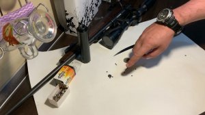 22 WMR ПРИСТРЕЛКА КУЧНОСТЬ