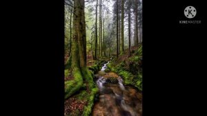 SCP-4975 - Время вышло