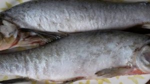 Линь жареный в отрубях