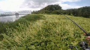 Как поймать рыбу на Оке?! Отводной решает! Опасный берег. Кашира.