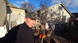Как расколоть большое бревно? Простой способ