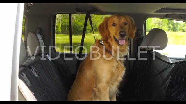 авточехлы смотреть онлайн