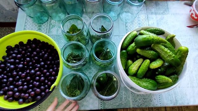 Хорошо летом в деревне! Помощники на газ 53 вывезли сено! Урожайный август 2022. Фокус с коровами смотреть онлайн