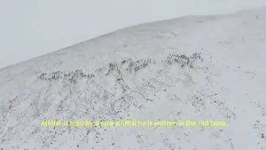 Памир МУРГАБ байлыктары